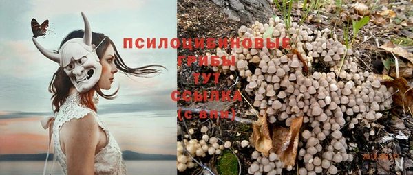 прущий лед Няндома