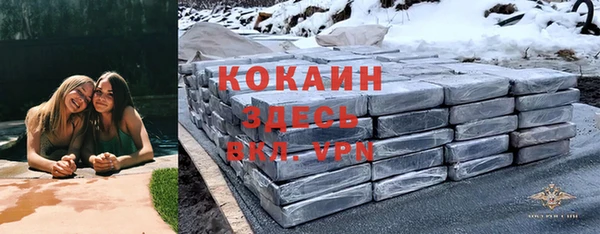 тгк Новозыбков