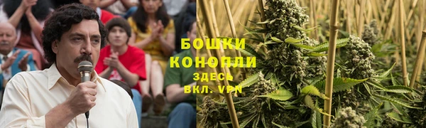 мескалин Нягань