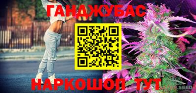 амф Бийск