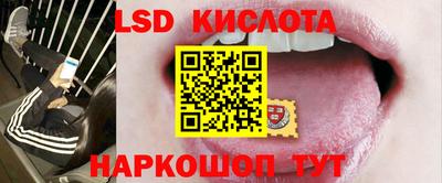 амф Бийск