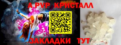 амф Бийск