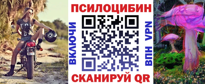 Псилоцибиновые грибы мицелий  гидра вход  Курчалой  где купить наркотик 