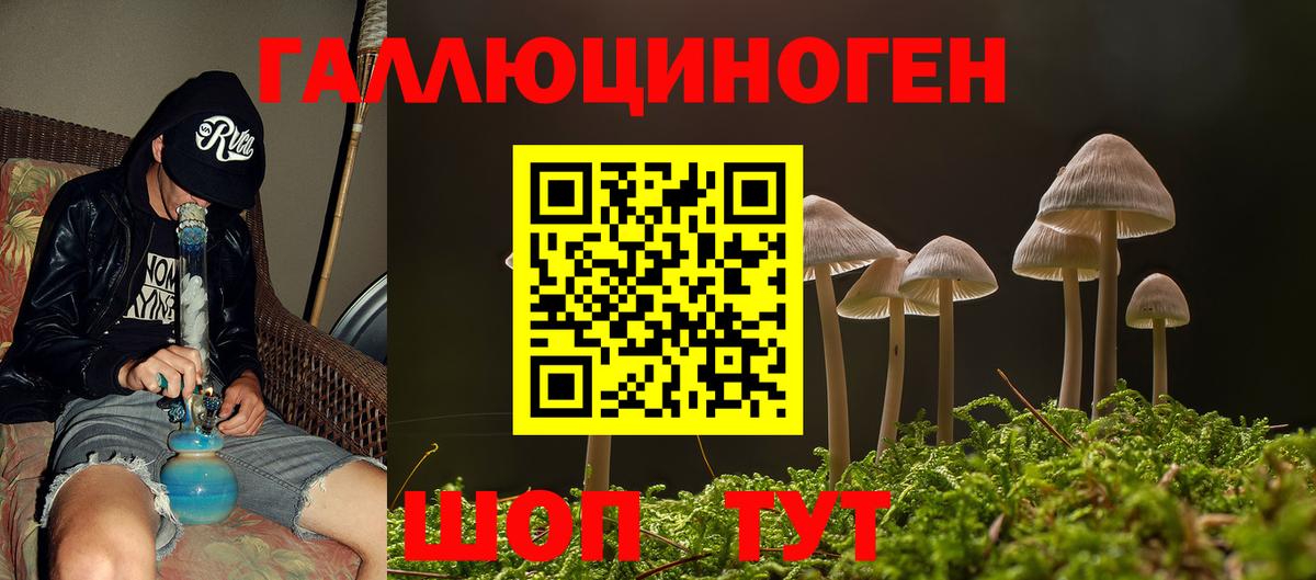 Курчалой  Галлюциногенные грибы ЛСД  Вход с VPN 