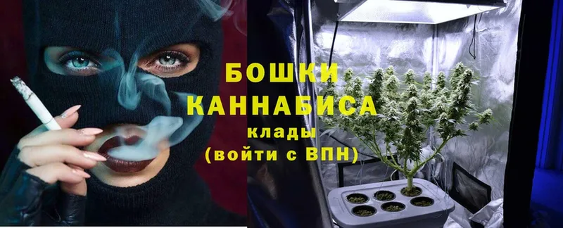 kraken вход  Курчалой  Марихуана White Widow 